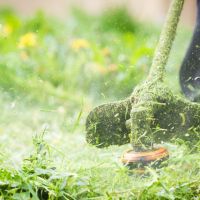 Onderhoud mee Kalsterbos