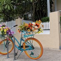 Fietsschool Aarschot zoekt fietsherstellers