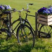 Vrijwilliger om samen mee te gaan fietsen